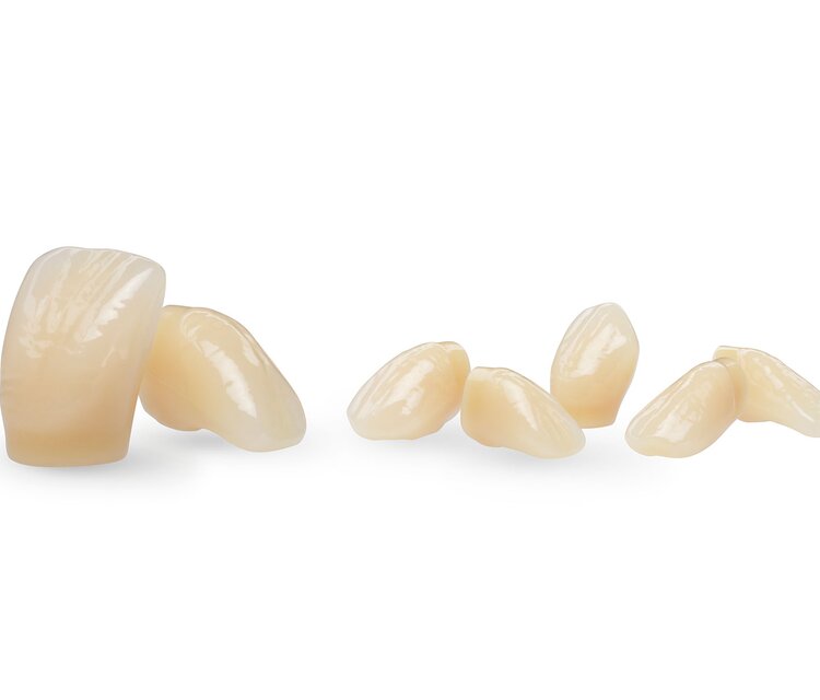 SR Vivodent S PE S DCL | Prefabricated Teeth | Ivoclar USA