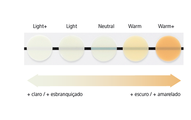 Variolink Esthetic