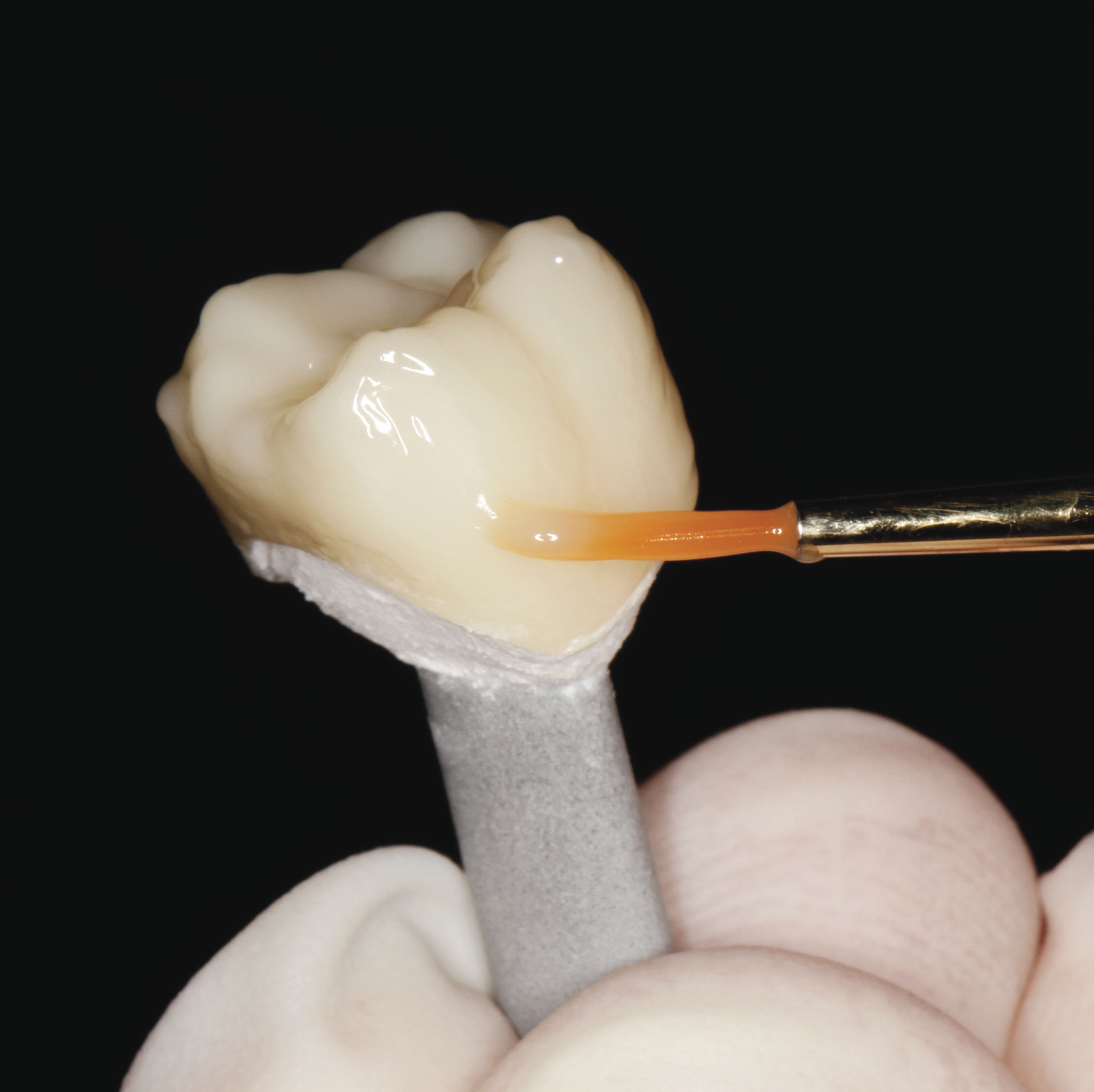 IPS e.max CAD PrograMill LT C14/5 | IPS e.max CAD for PrograMill | IPS ...