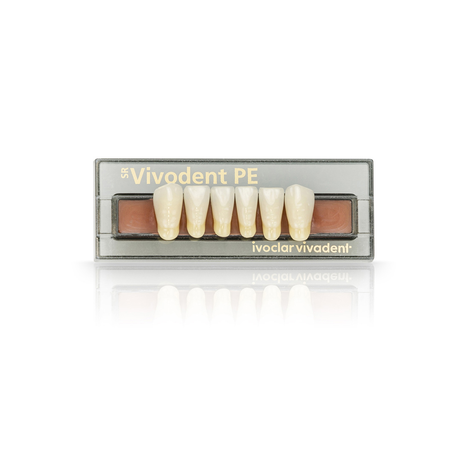 SR Vivodent PE Set of 6 Teeth Ivoclar US