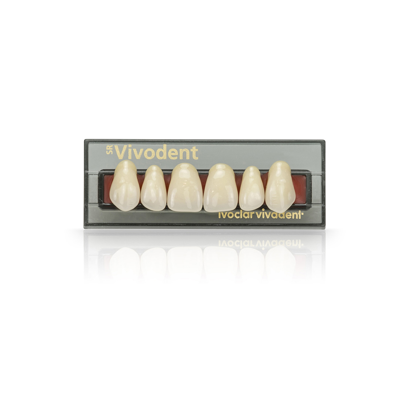 SR Vivodent Set of 6 Teeth Ivoclar Vivadent US