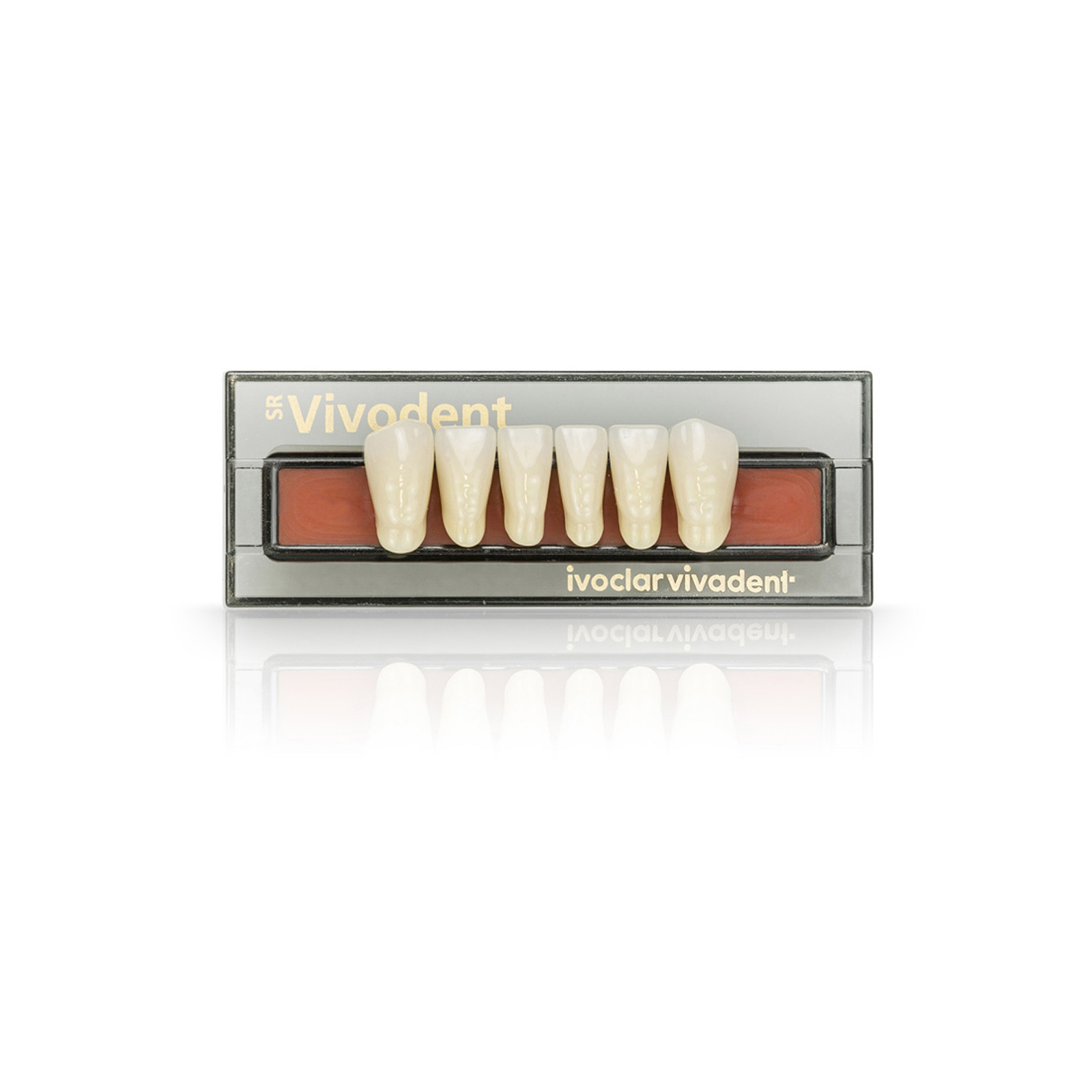 SR Vivodent Set of 6 Teeth Ivoclar US