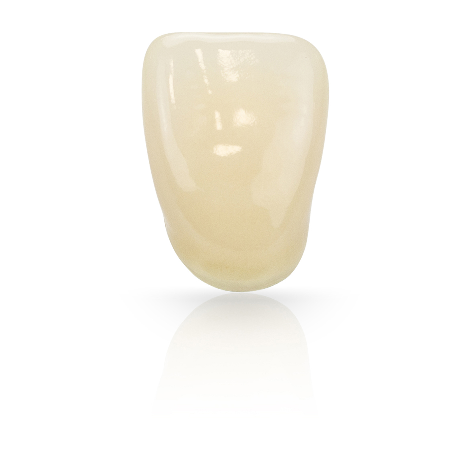 SR Vivodent DCL Set of 6 AD Teeth Ivoclar Vivadent US