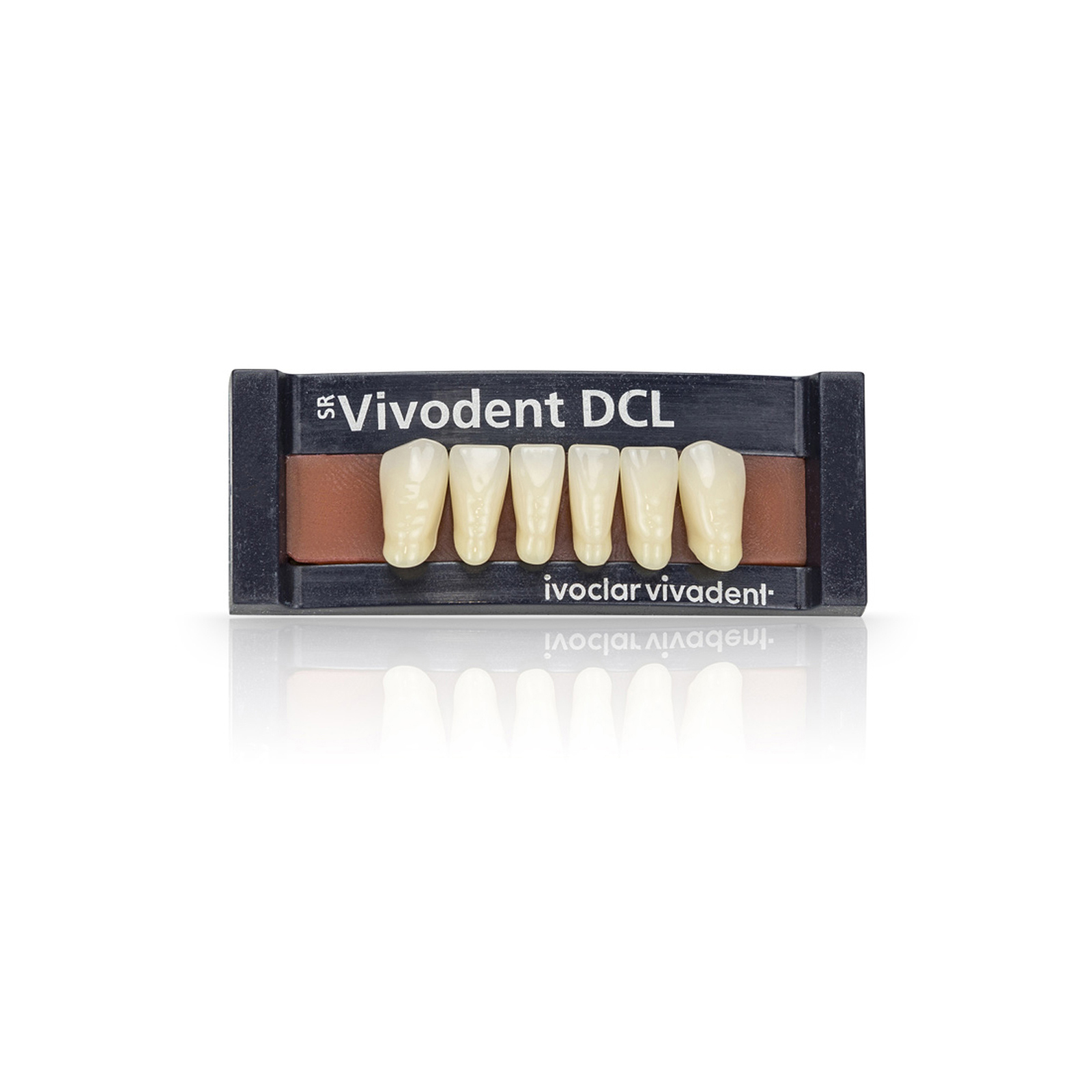 SR Vivodent DCL Set of 6 AD Teeth Ivoclar Vivadent US
