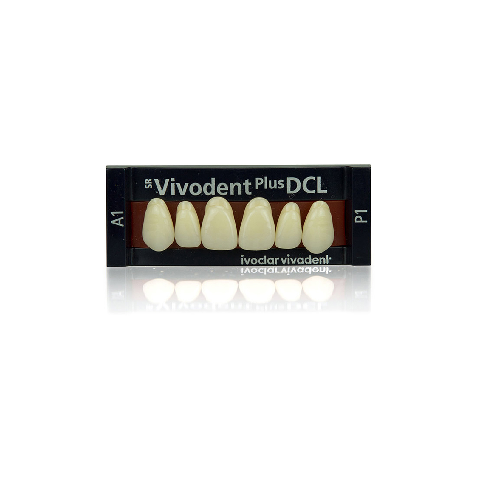 SR Vivodent Plus DCL Set of 6 AD Teeth Ivoclar Vivadent US