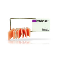 IvoBase Shade Guide