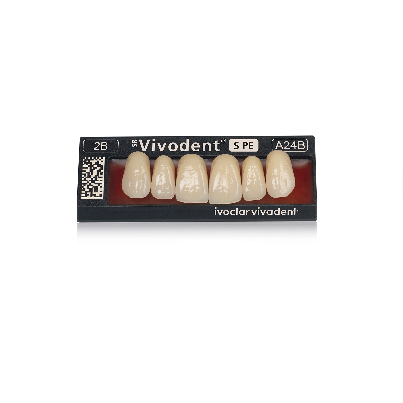 SR Vivodent S PE set of 6 Teeth Ivoclar Vivadent US
