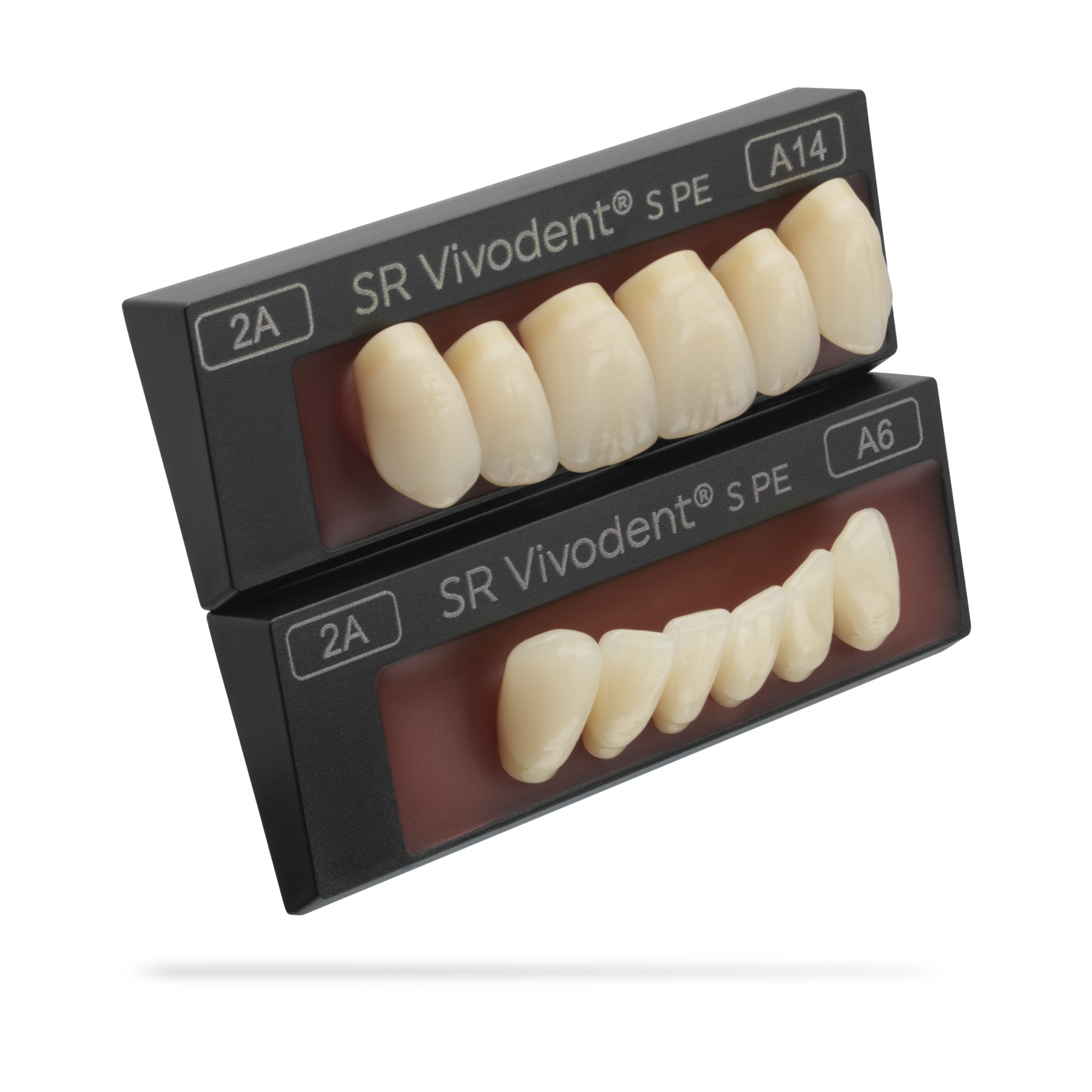 SR Vivodent S PE set of 6 Teeth Ivoclar US