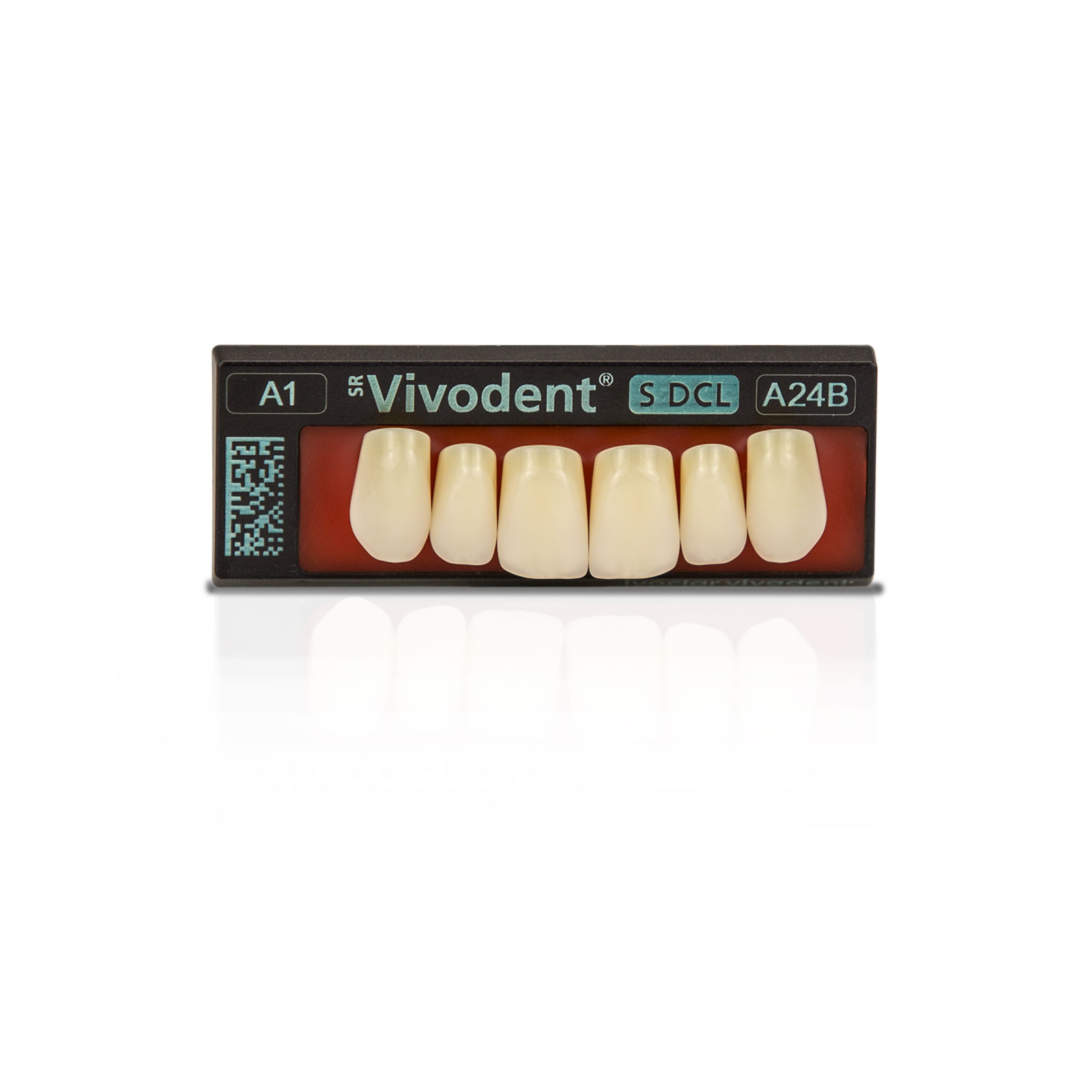 SR Vivodent S DCL set of 6 Teeth Ivoclar Vivadent US