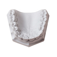 WM Orthodontic Plaster 33#/15Kg 330088