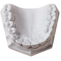 WhipMix Orthodontic Stone White
