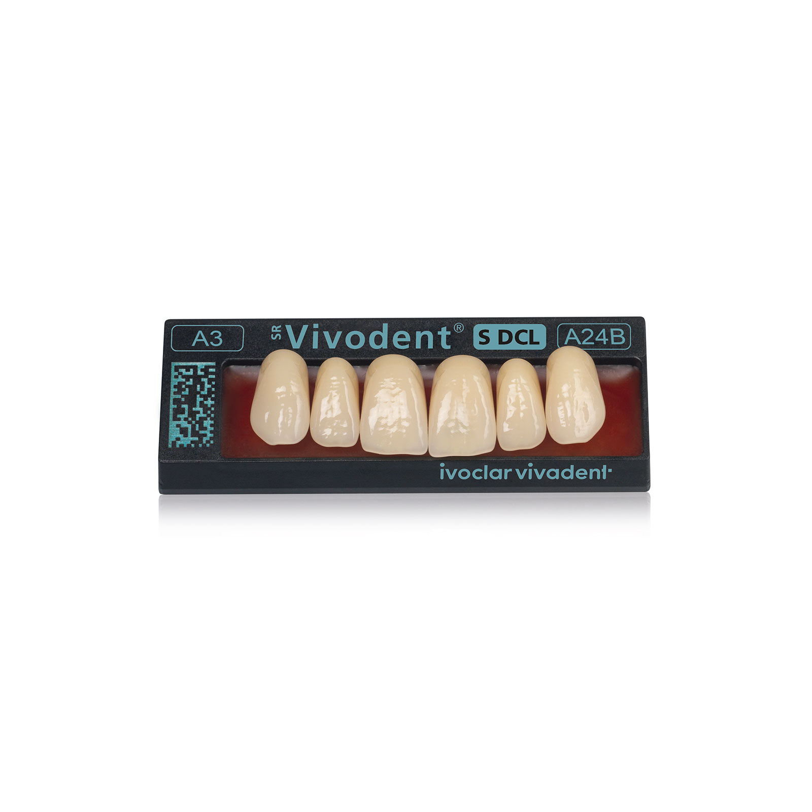 SR Vivodent S DCL Shade Guide Teeth Ivoclar Vivadent US